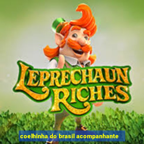 coelhinha do brasil acompanhante